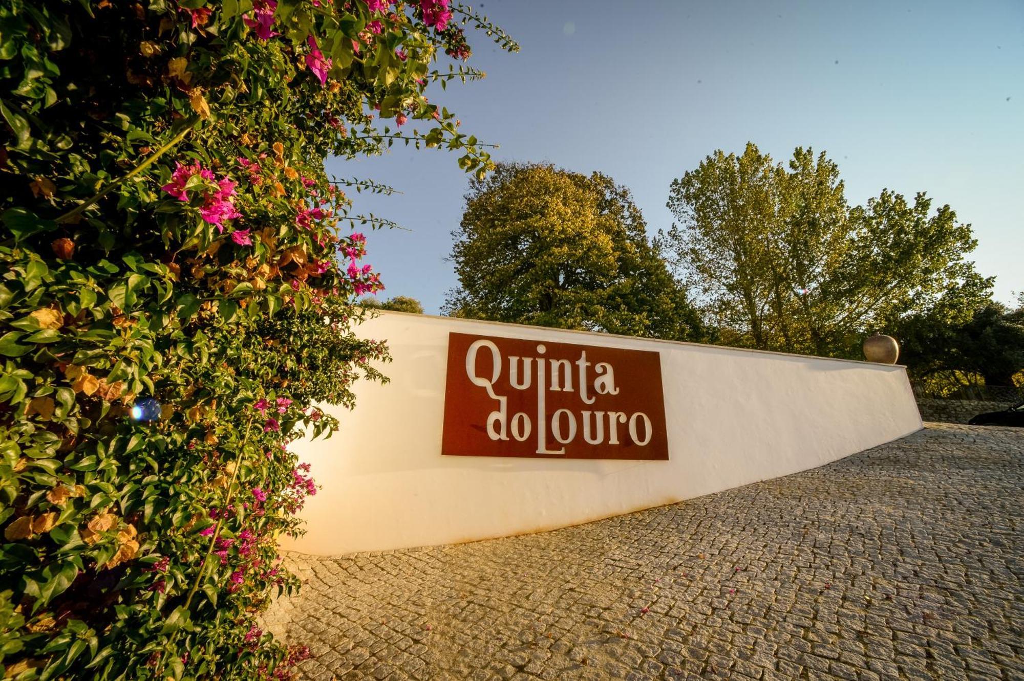 Гостьовий будинок Quinta Do Louro Палмела Екстер'єр фото
